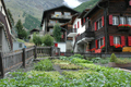 paysage_ete_005.jpg