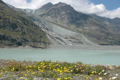 paysage_ete_009.jpg