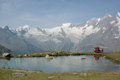 paysage_ete_012.jpg