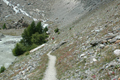 paysage_ete_013.jpg