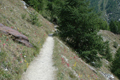 paysage_ete_014.jpg