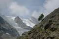 paysage_ete_016.jpg