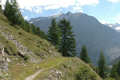 paysage_ete_017.jpg