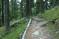 paysage_ete_018.jpg
