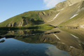 paysage_ete_019.jpg
