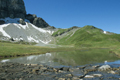 paysage_ete_020.jpg