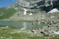 paysage_ete_022.jpg