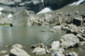 paysage_ete_025.jpg