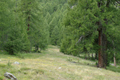 paysage_ete_027.jpg