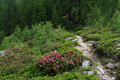 paysage_ete_031.jpg