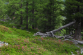 paysage_ete_033.jpg